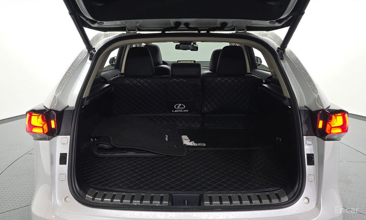 Lexus NX300h Executive 2019