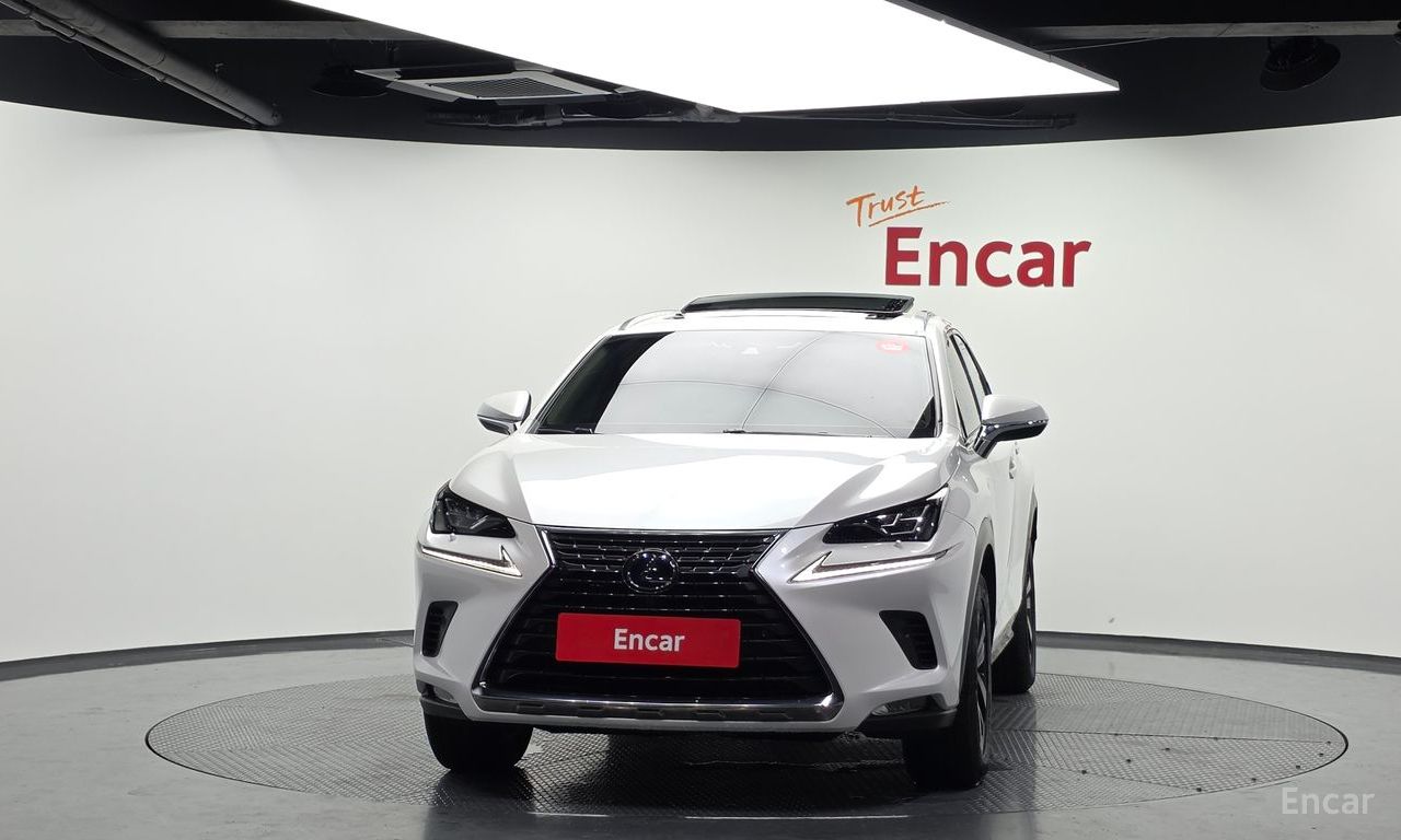 Lexus NX300h Executive 2019