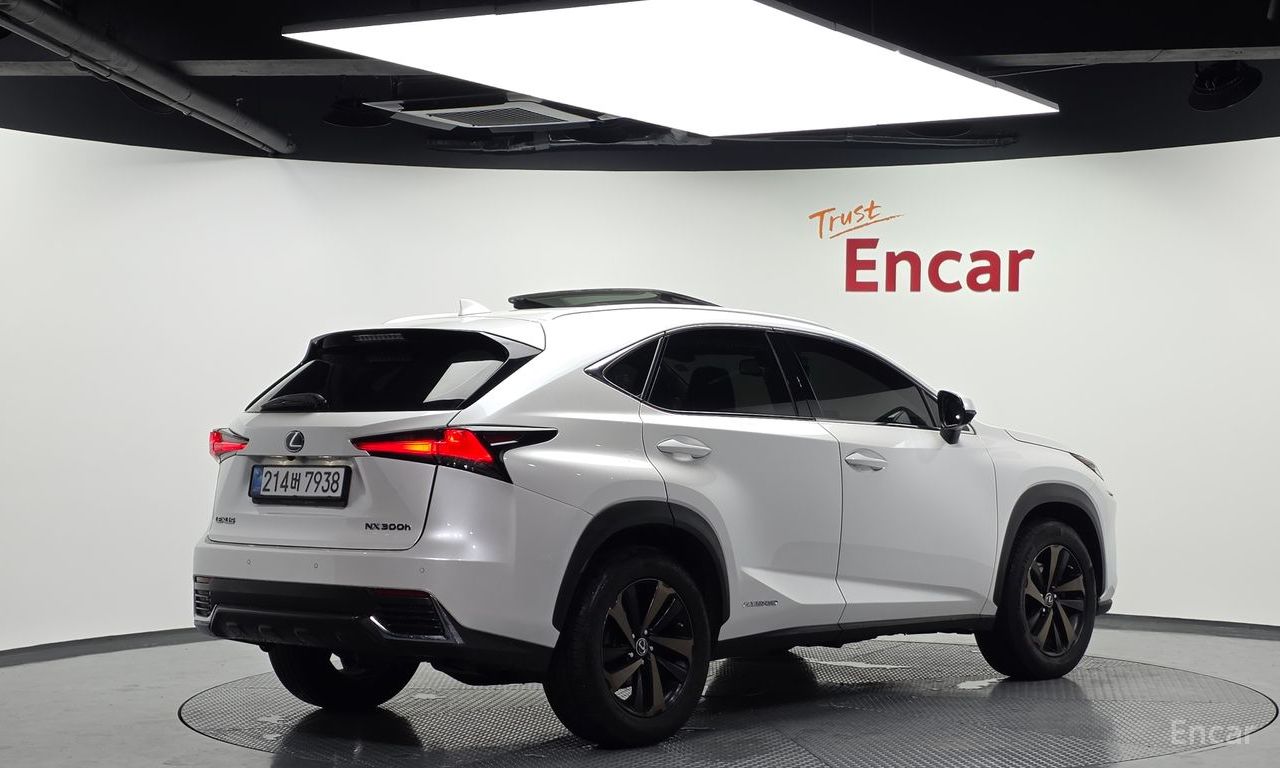 Lexus NX300h Executive 2019