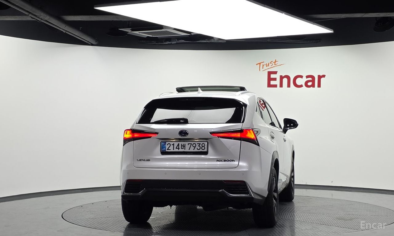 Lexus NX300h Executive 2019
