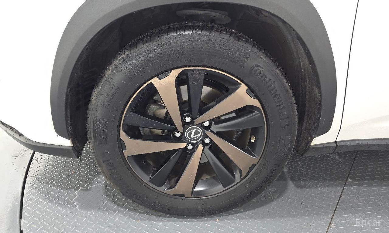 Lexus NX300h Executive 2019