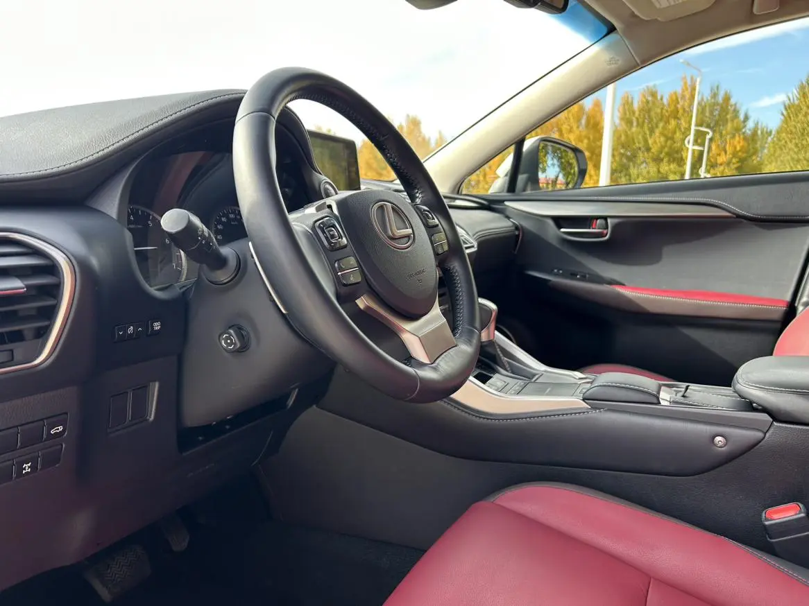 Lexus NX 2018 200 China VI