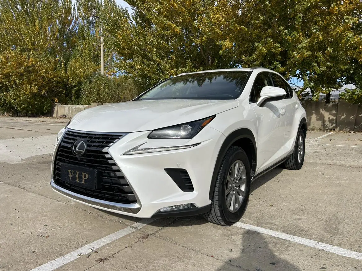 Lexus NX 2018 200 China VI