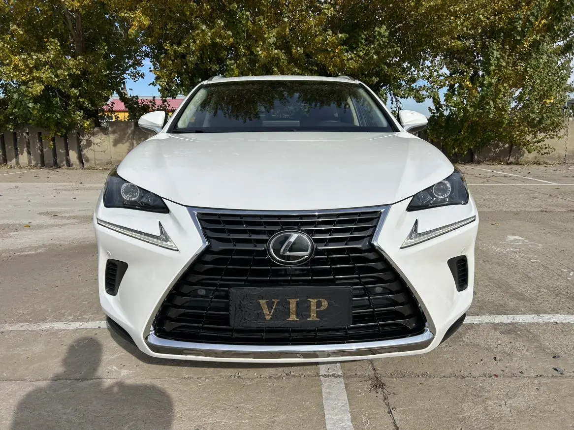 Lexus NX 2018 200 China VI