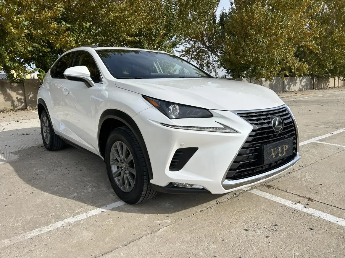 Lexus NX 2018 200 China VI