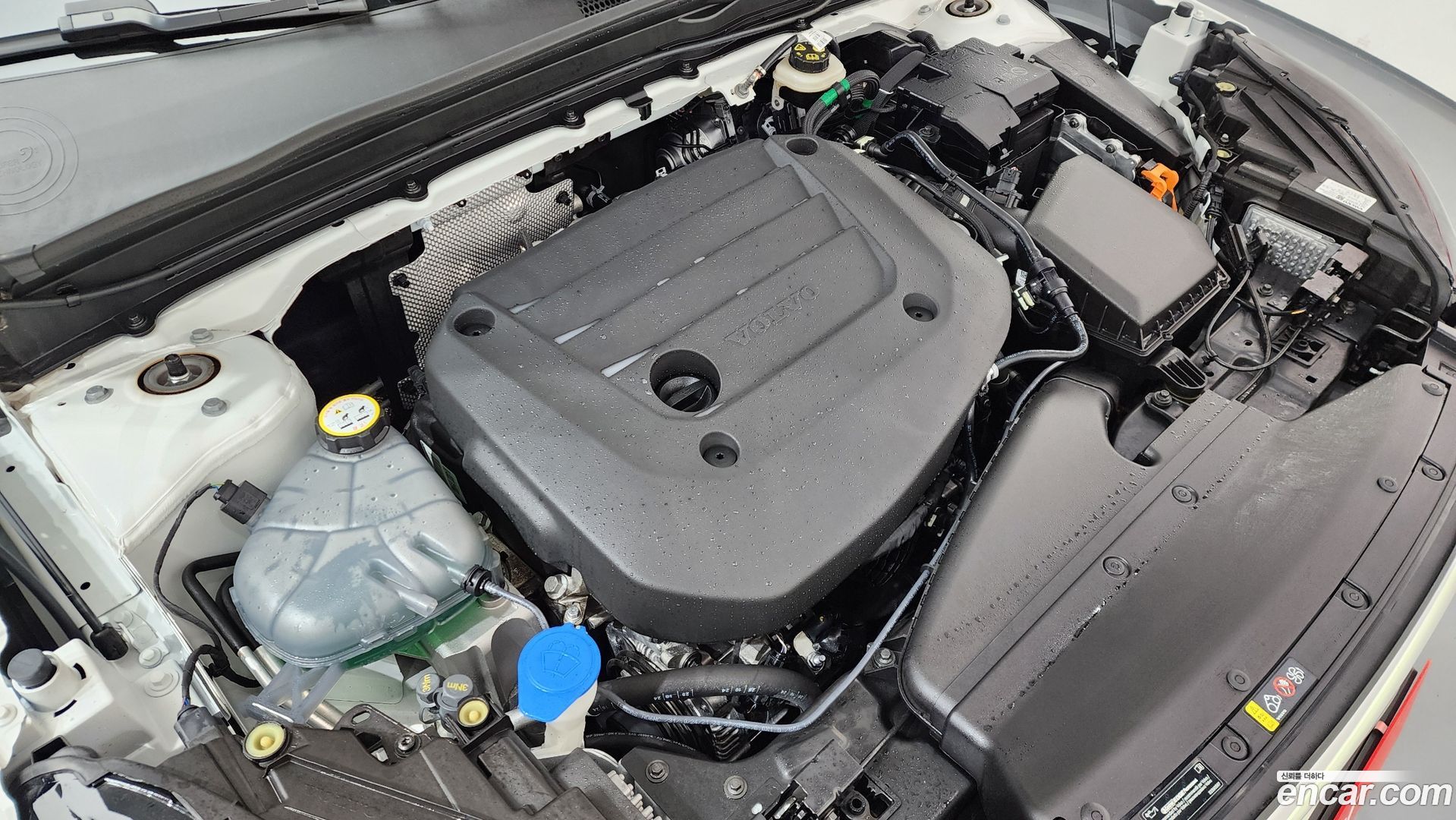 Volvo XC40 B4 Ultra Bright
