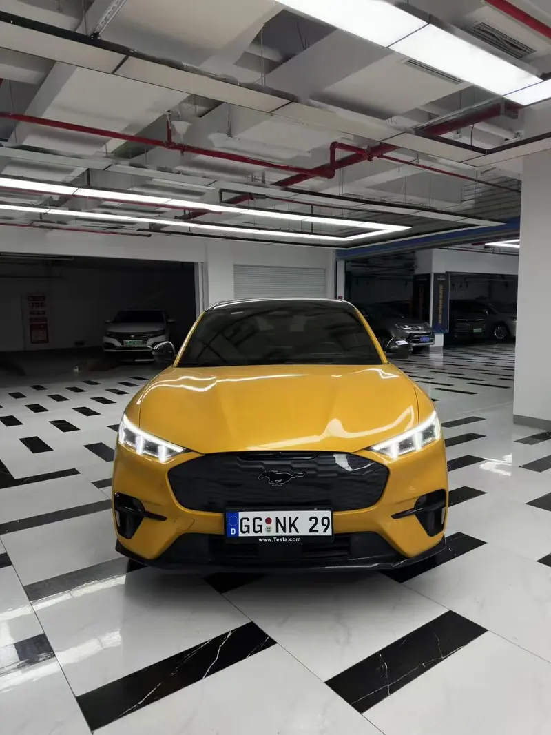 Ford Electric Horse 2024 GT Edition