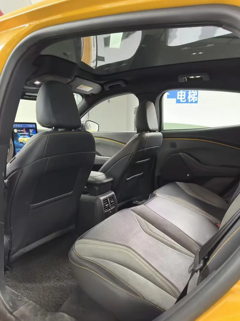 Ford Electric Horse 2024 GT Edition