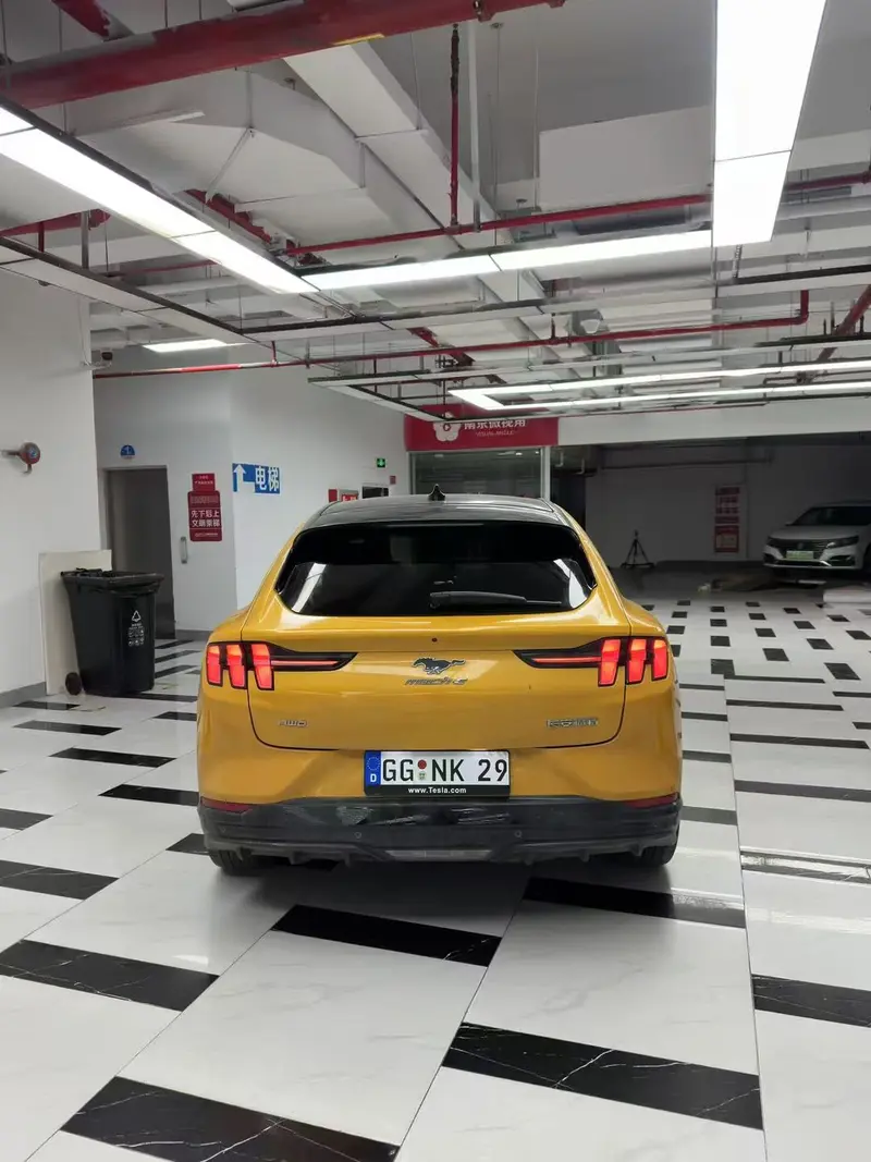 Ford Electric Horse 2024 GT Edition