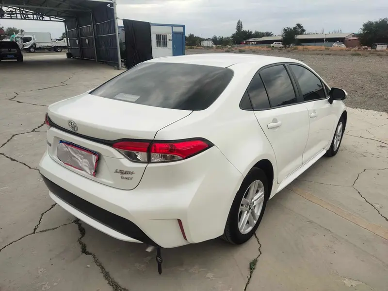 Ralink 2019 185T Deluxe Edition National VI