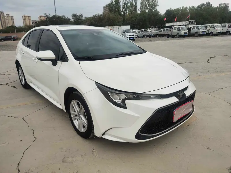 Ralink 2019 185T Deluxe Edition National VI