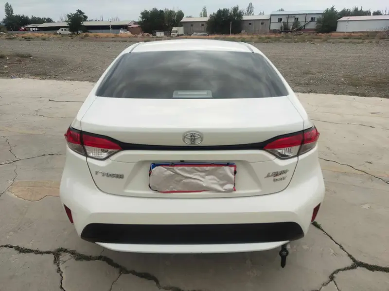 Ralink 2019 185T Deluxe Edition National VI