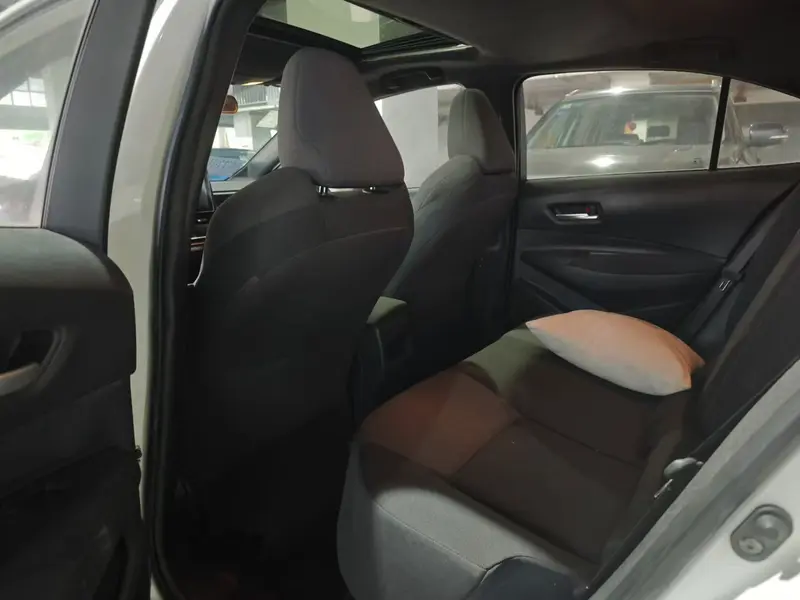 Ralink 2019 185T Deluxe Edition National VI