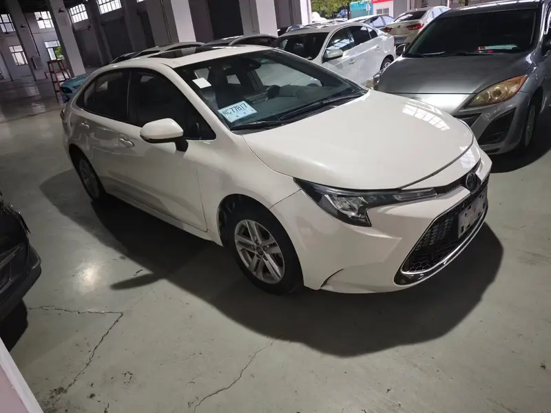 Ralink 2019 185T Deluxe Edition National VI