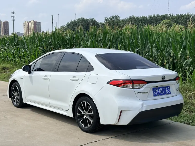 Ralink 2023 Dual Engine 1.8L Sports Edition