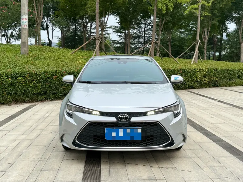 Ralink 2019 185T Deluxe Edition National VI
