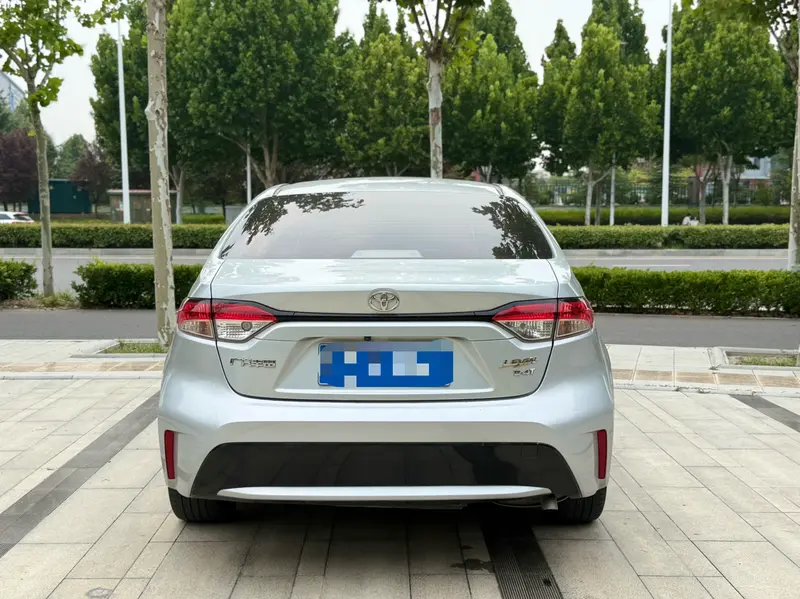 Ralink 2019 185T Deluxe Edition National VI