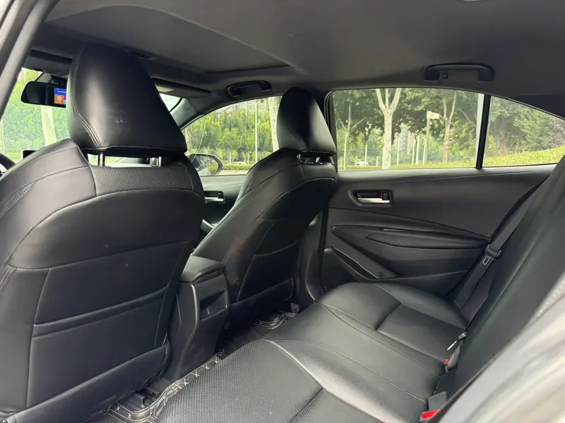 Ralink 2019 185T Deluxe Edition National VI