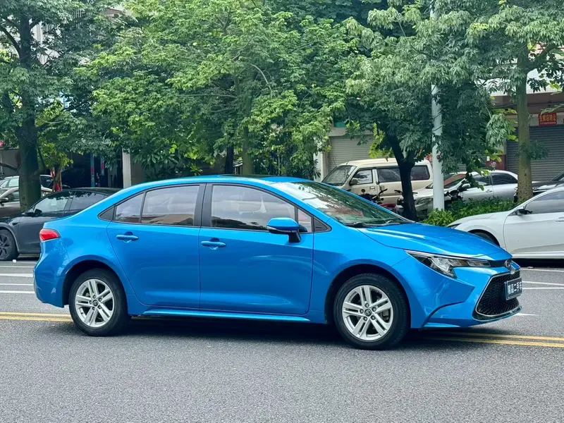 Ralink 2019 185T Deluxe Edition National VI