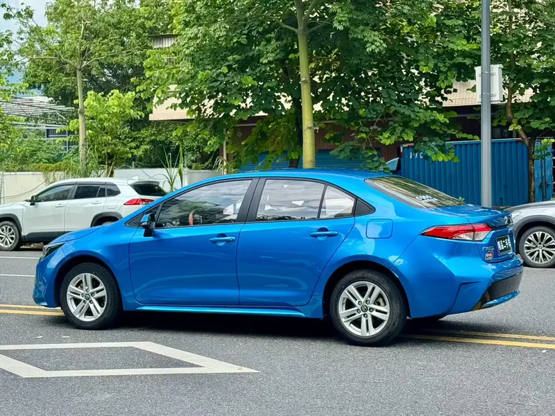 Ralink 2019 185T Deluxe Edition National VI