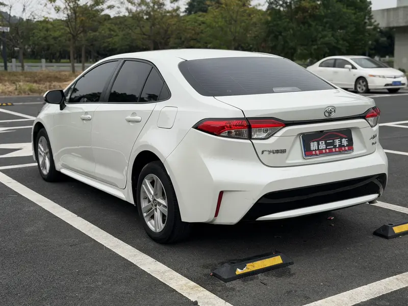 Ralink 2019 185T Deluxe Edition National VI