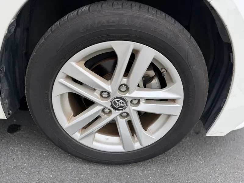 Ralink 2019 185T Deluxe Edition National VI