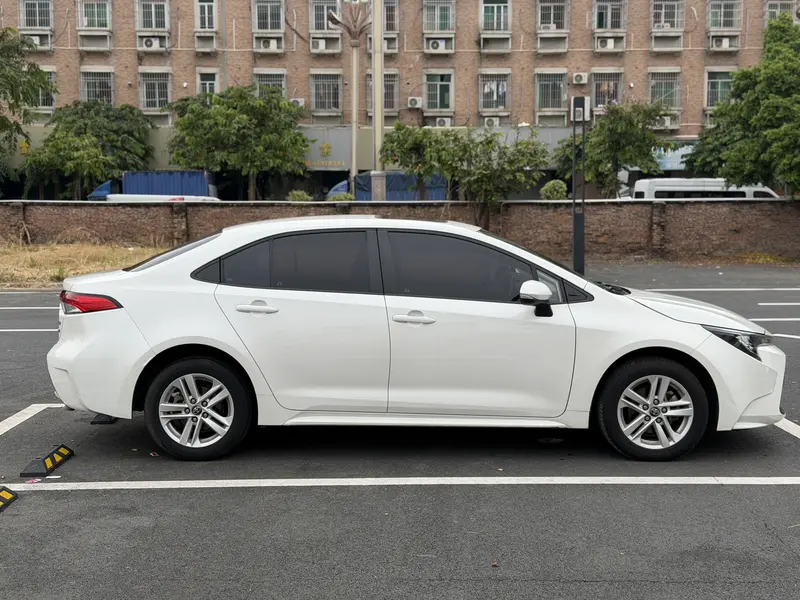 Ralink 2019 185T Deluxe Edition National VI