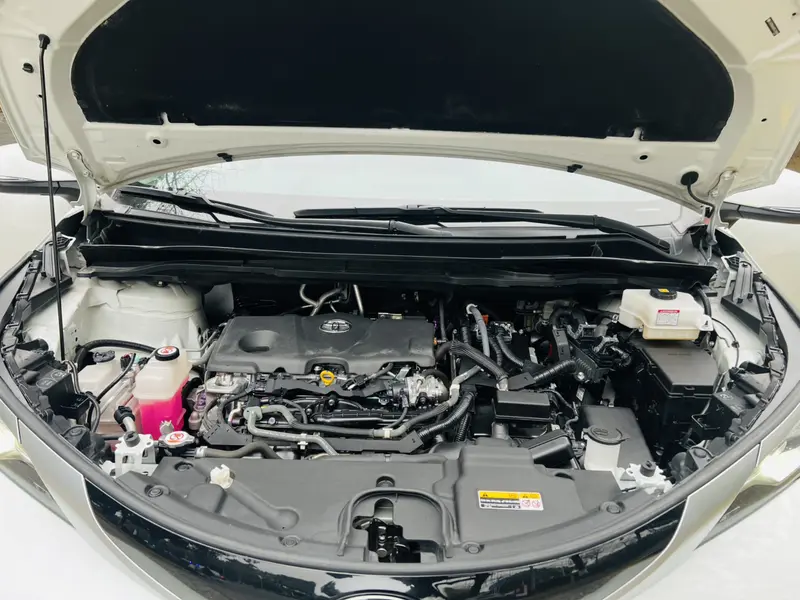Senna 2023 Dual Engine 2.5L Deluxe Edition
