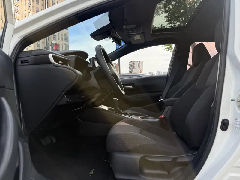 Ralink 2019 185T Deluxe Edition National VI
