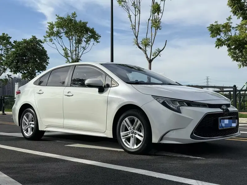 Ralink 2019 185T Deluxe Edition National VI