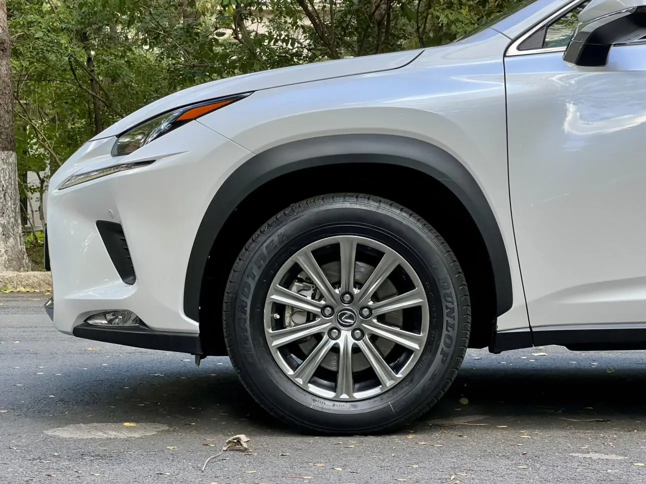 Lexus NX 2020 200 FWD China VI