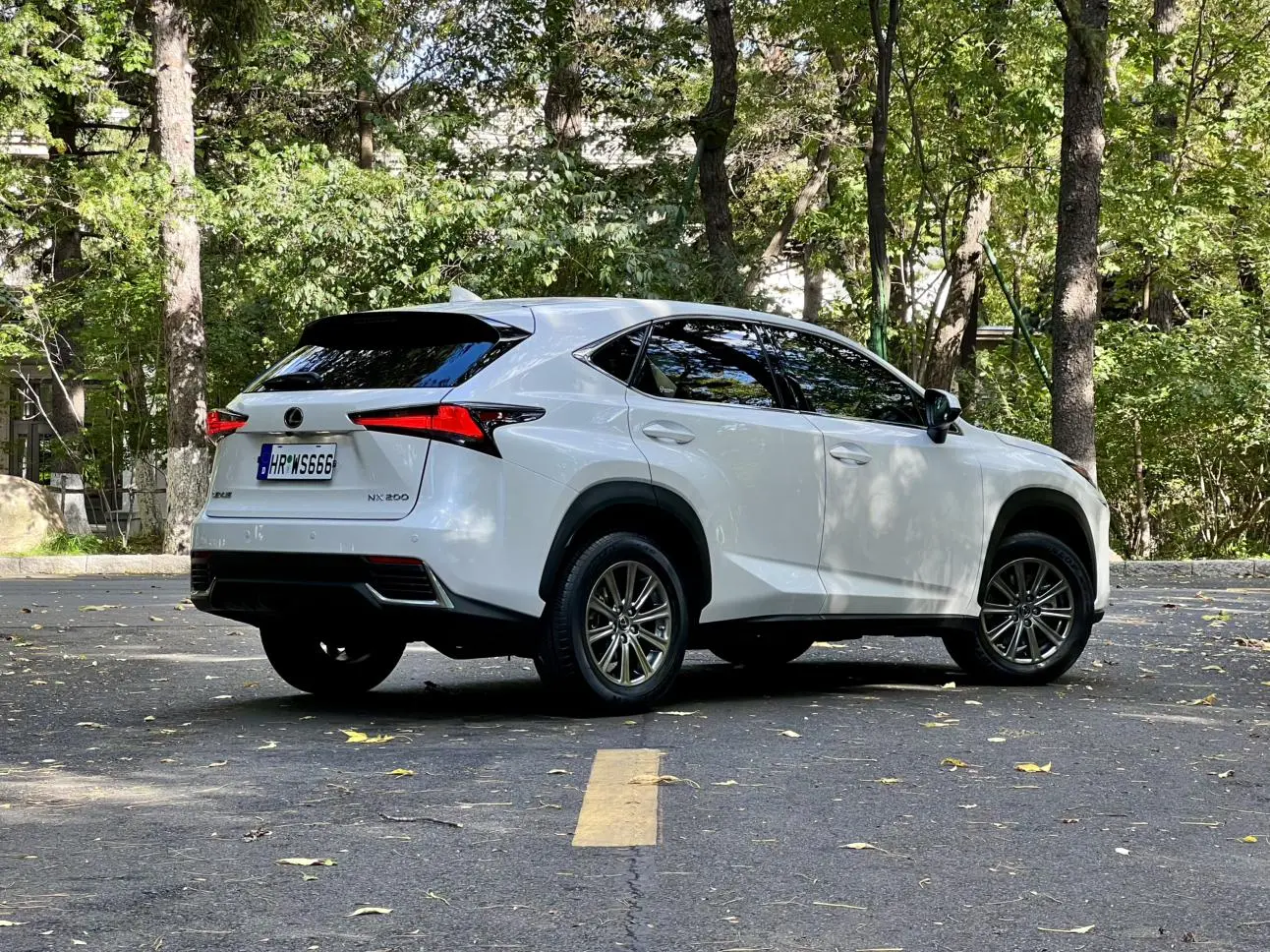 Lexus NX 2020 200 FWD China VI