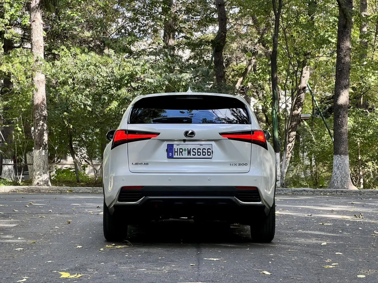 Lexus NX 2020 200 FWD China VI