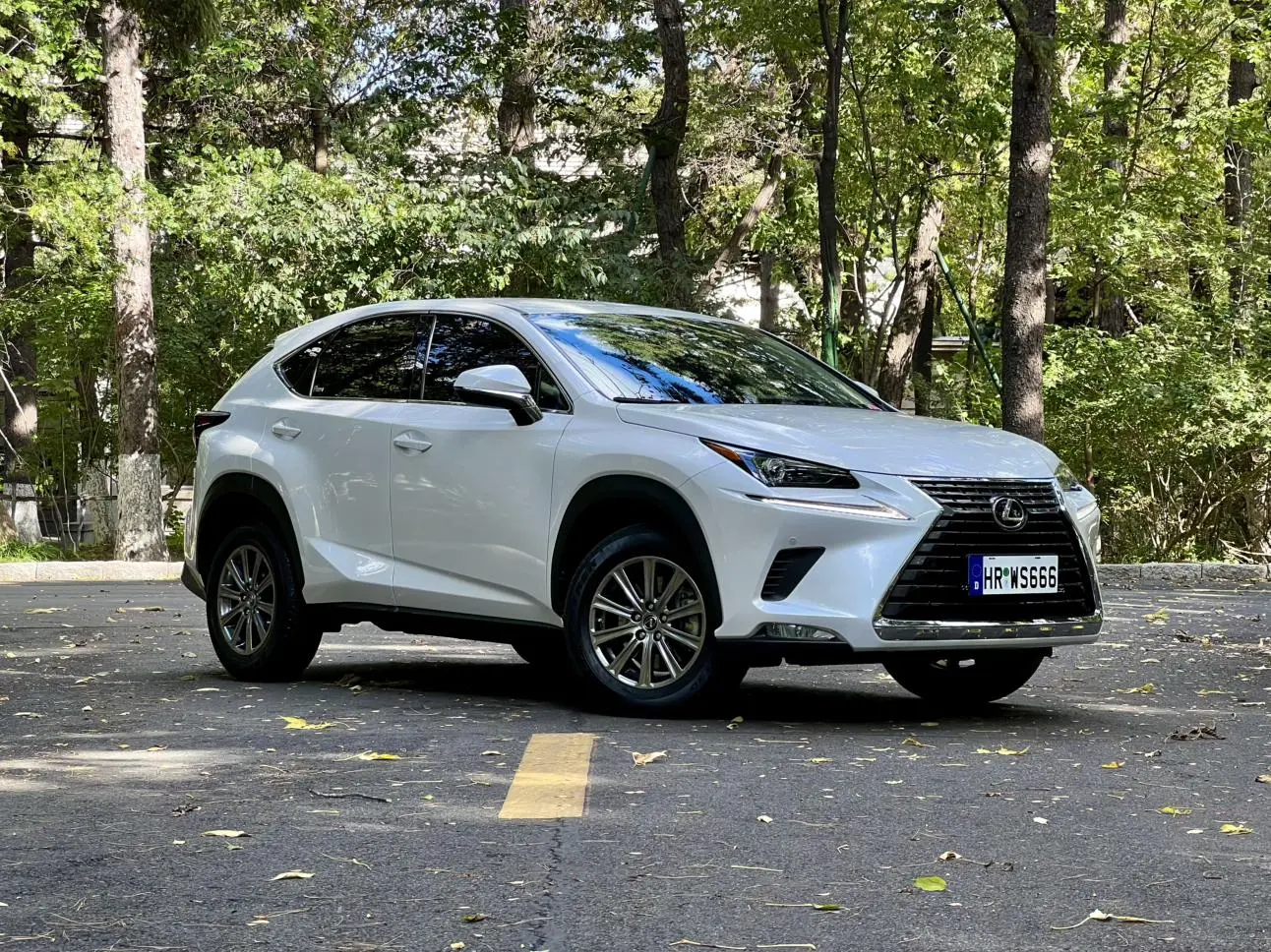 Lexus NX 2020 200 FWD China VI