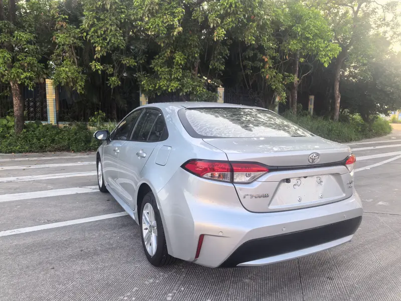 Ralink 2019 185T Technology Edition National V