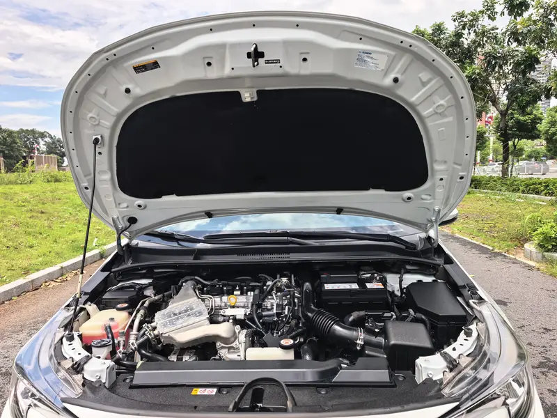 Ralink 2021 185T CVT Deluxe Edition