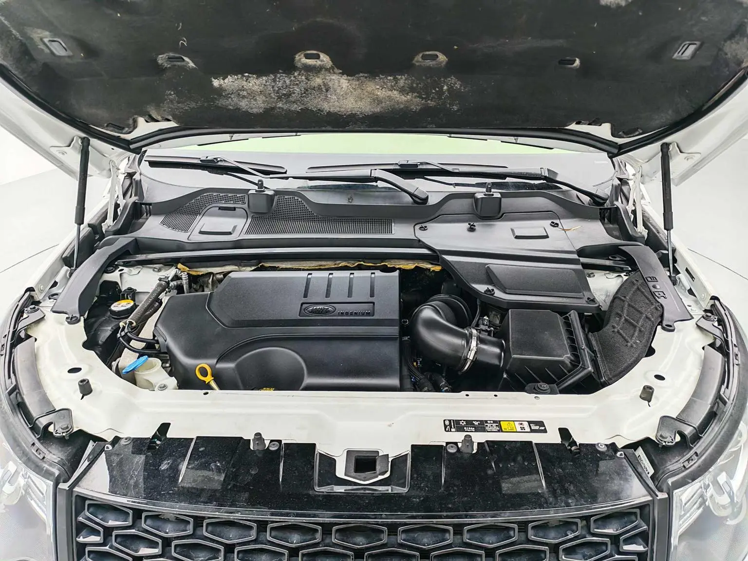Land Rover Discovery Sport 2019 240PS SE Dynamic China VI