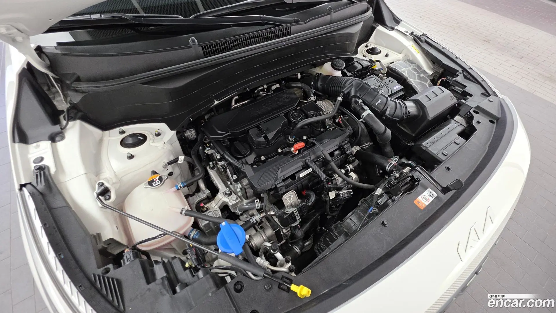 Kia Seltos Gasoline 1.6 Turbo 2WD 2022