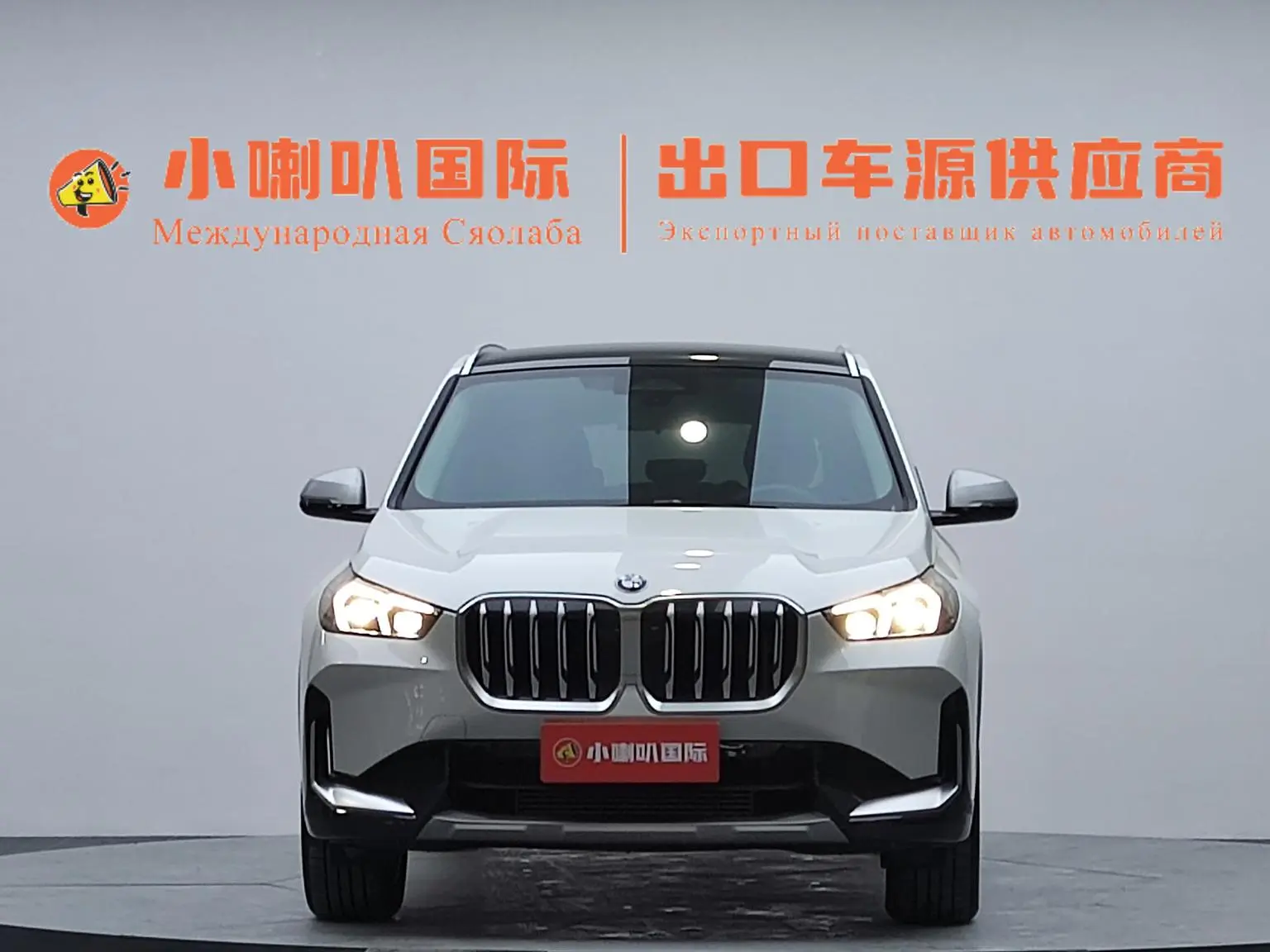 BMW X1 2023 sDrive20Li X Design Package