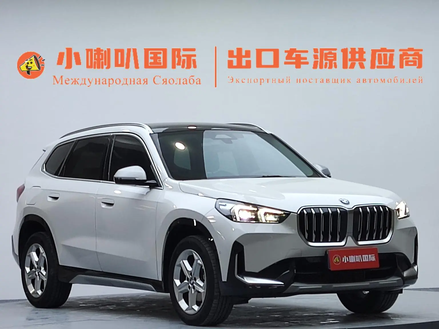 BMW X1 2023 sDrive20Li X Design Package