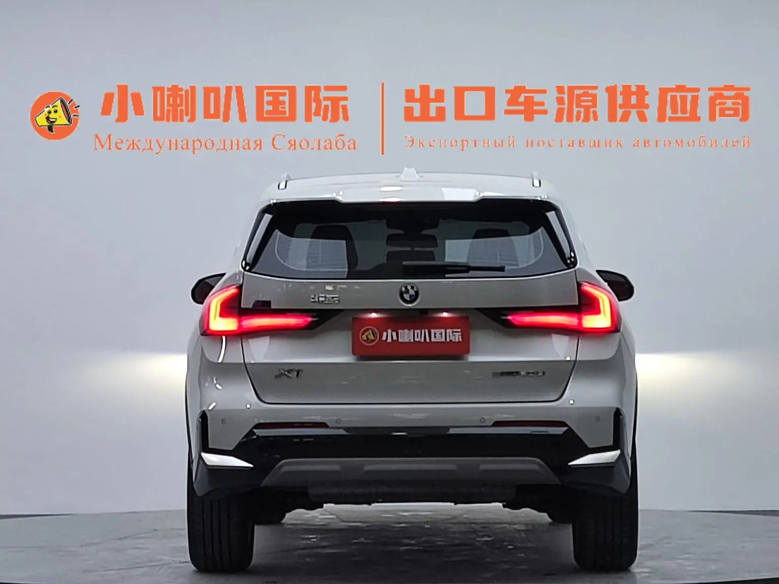 BMW X1 2023 sDrive20Li X Design Package