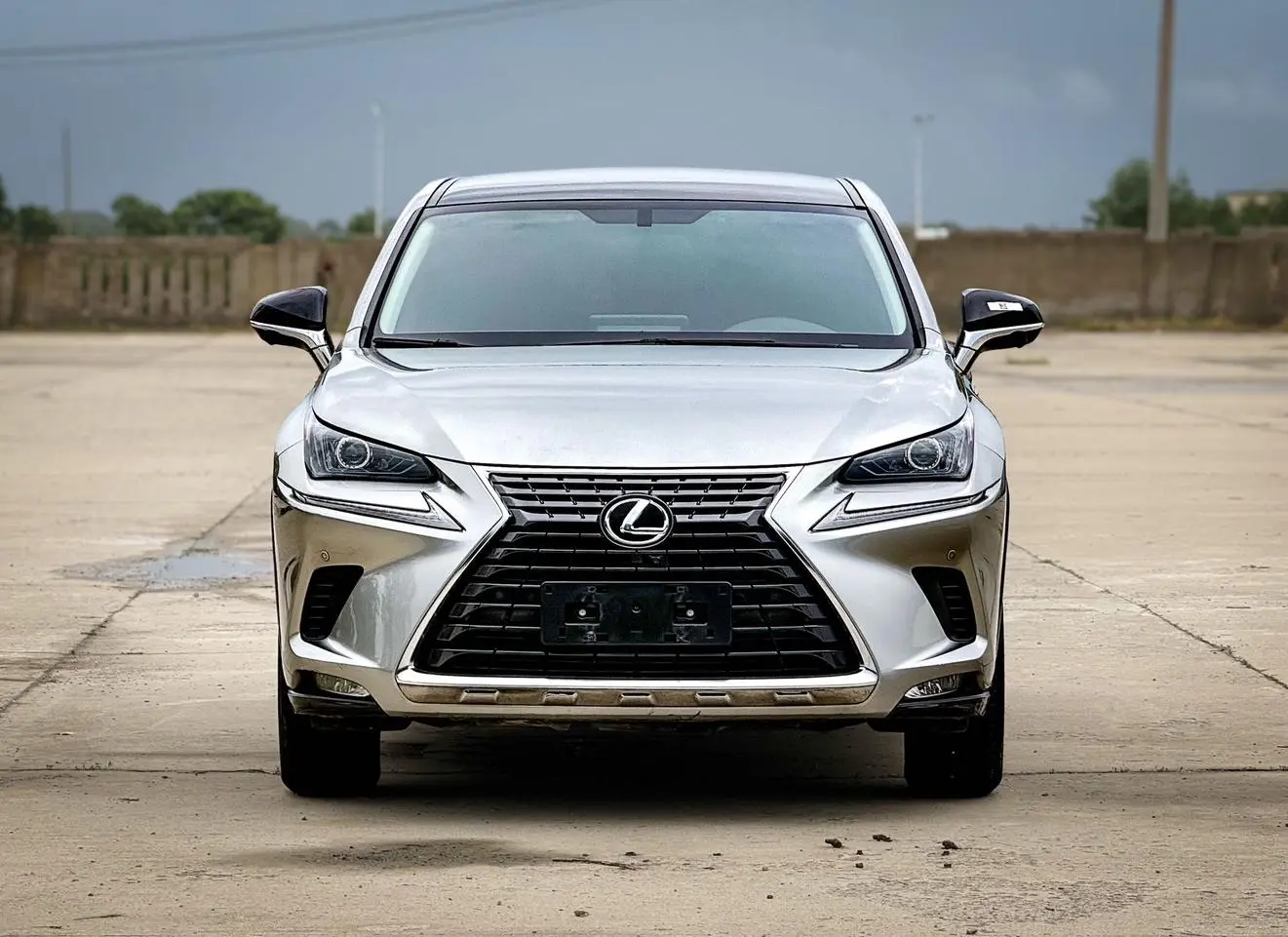 Lexus NX 2020 200 FWD China V