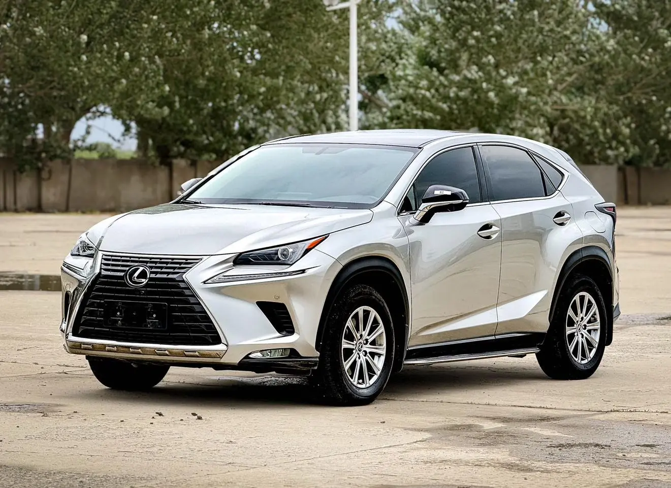 Lexus NX 2020 200 FWD China V