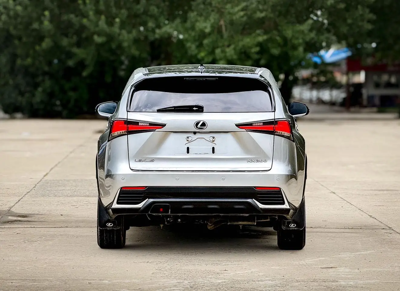 Lexus NX 2020 200 FWD China V