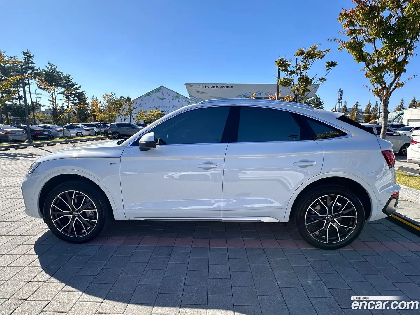 Audi Q5 45 TFSI Quattro Sportback Premium