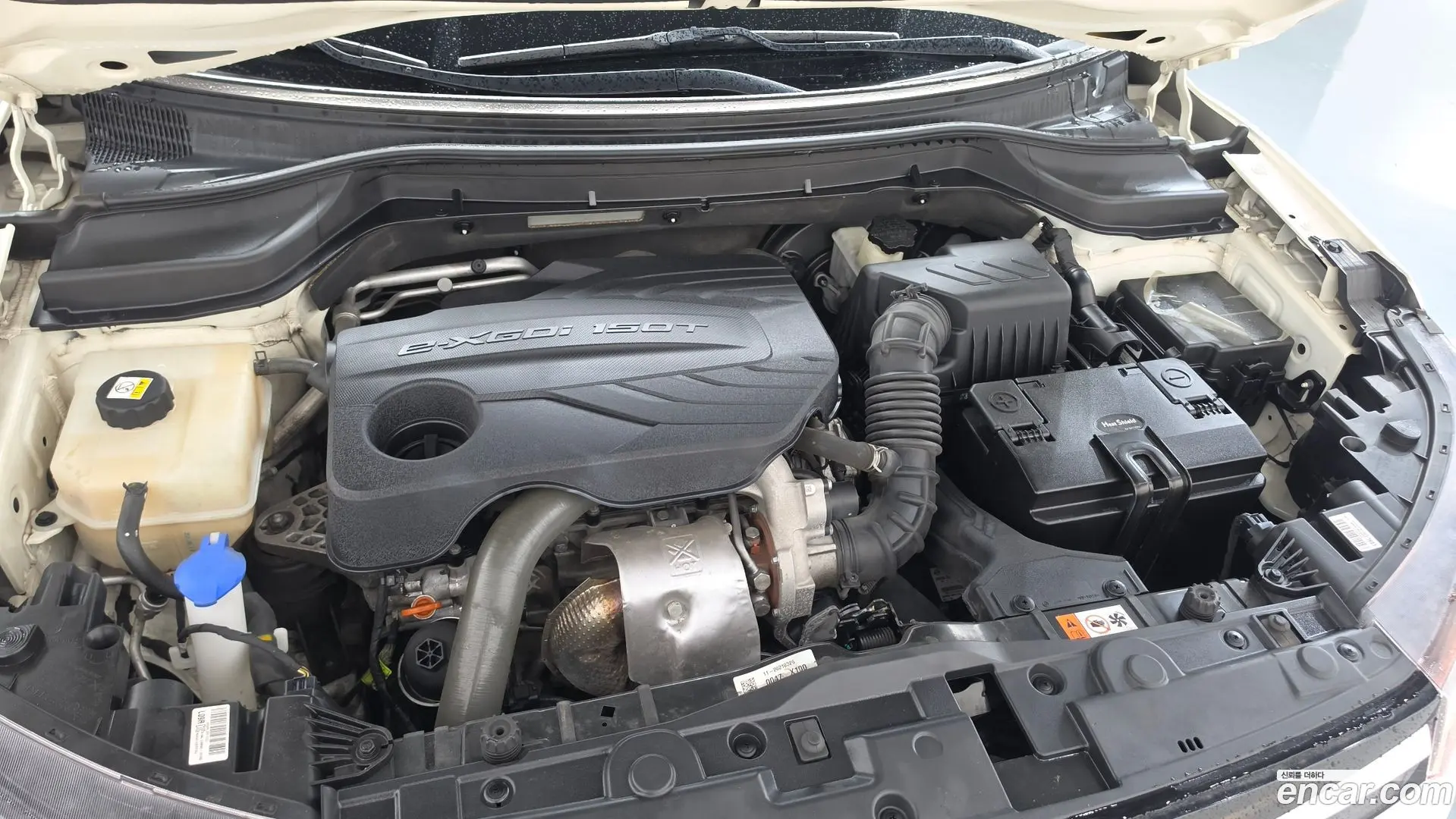 KG Mobility TIBOLI Gasoline 1.5 2WD 2019