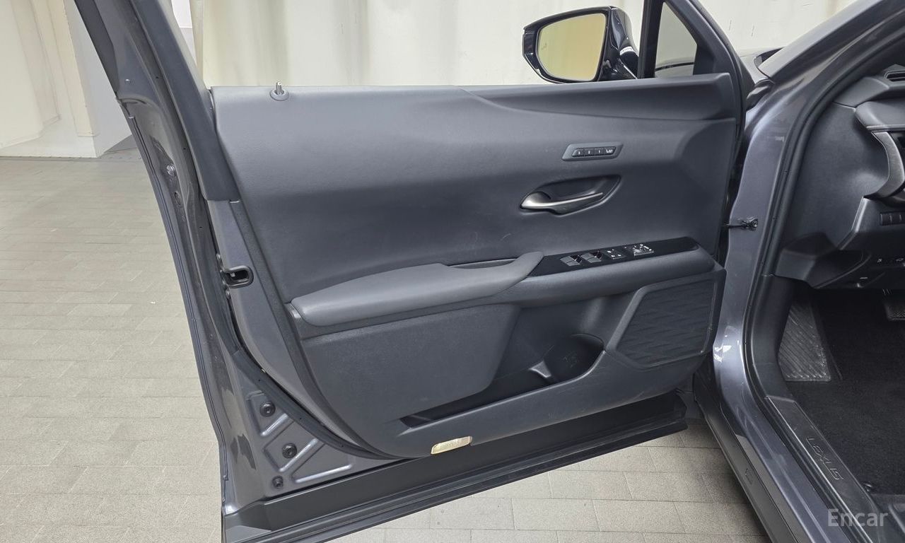 Lexus UX250h 2.0 AWD 2019