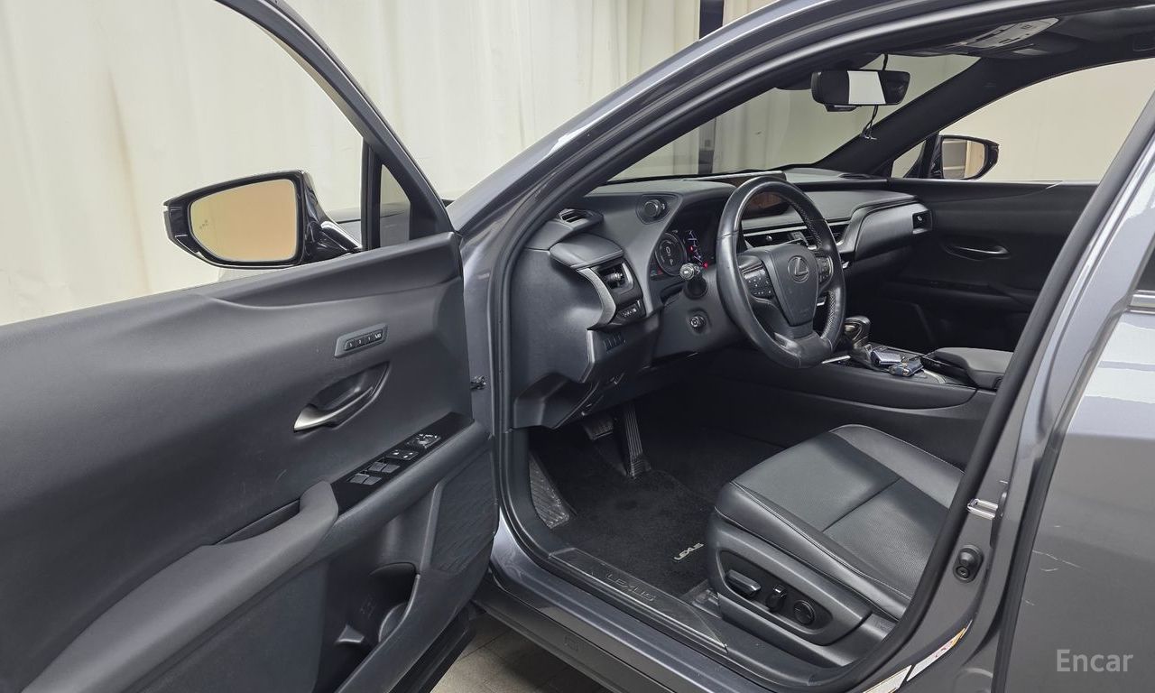 Lexus UX250h 2.0 AWD 2019
