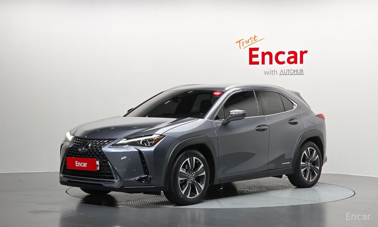 Lexus UX250h 2.0 AWD 2019