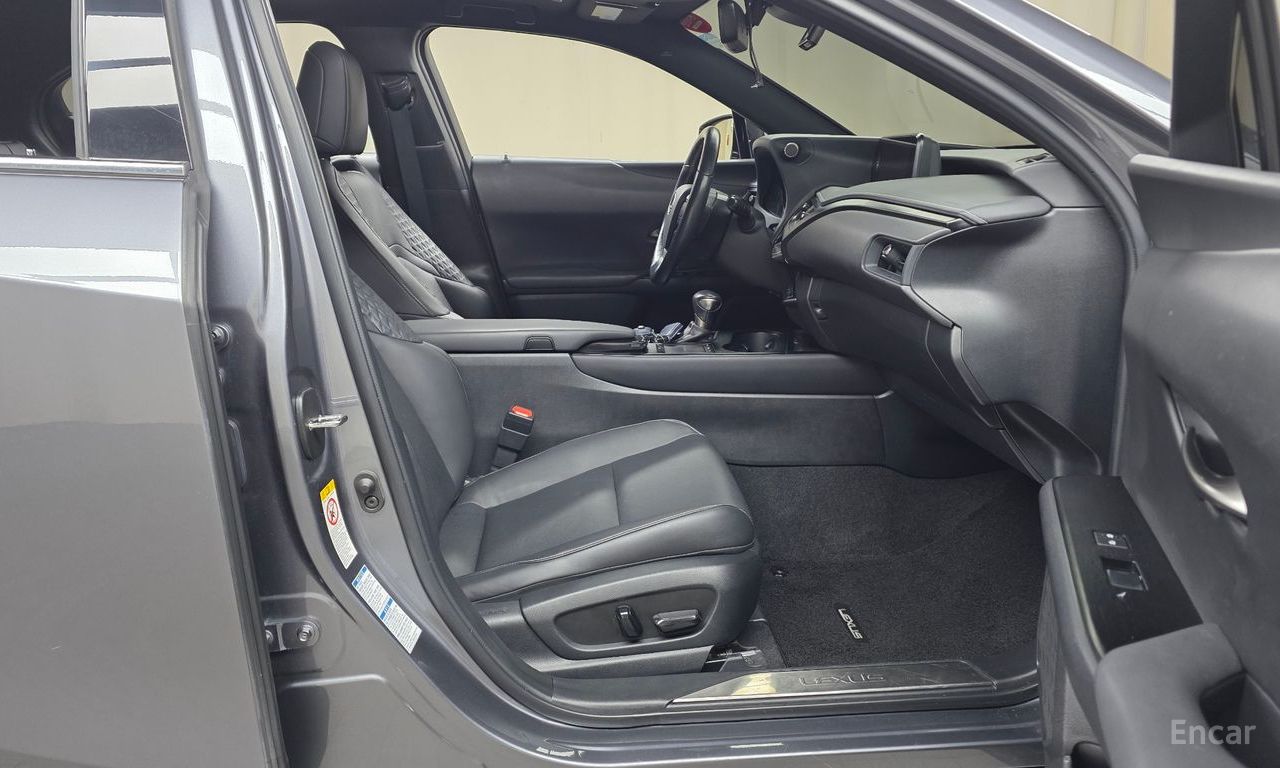 Lexus UX250h 2.0 AWD 2019